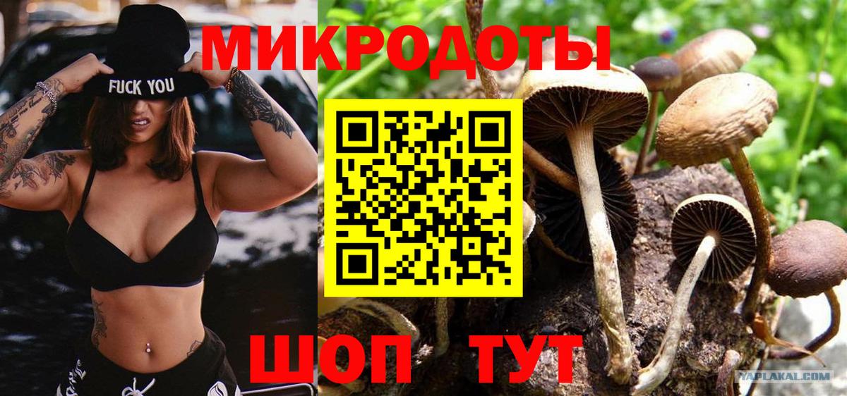 Галлюциногенные грибы мицелий Чехов